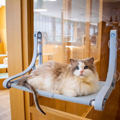 Cat Bed Window Perch Seat Suction Cups Cat Hammock Pet Resting Seat Cat Shelves