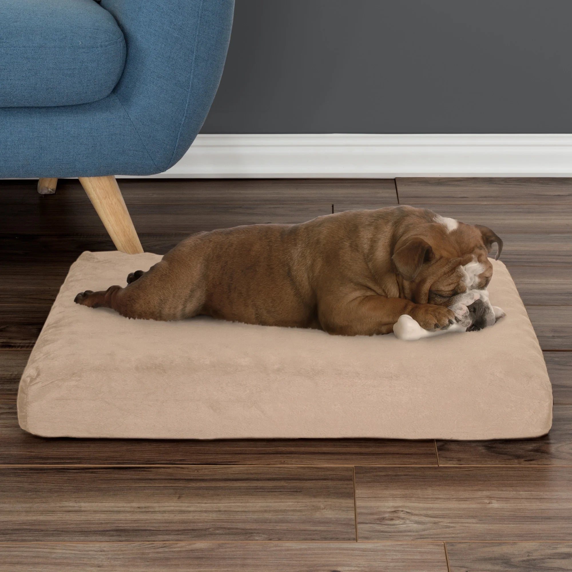 Orthopedic Memory Foam Dog Bed, Medium