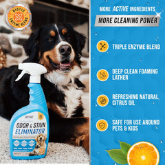 Pet Odor and Stain Eliminator - 32 Oz Enzyme Cleaner for Dog & Cat Urine, Stain