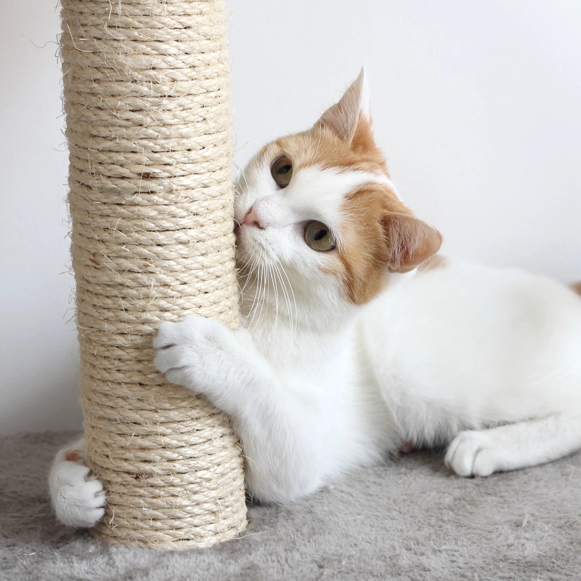 Cat Scratching Post Tower Scratch Pad - 3 Scratcher Posts and Perch