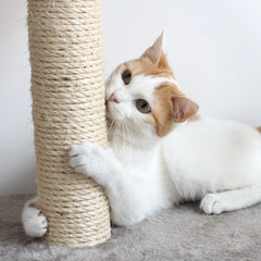 Cat Scratching Post Tower Scratch Pad - 3 Scratcher Posts and Perch