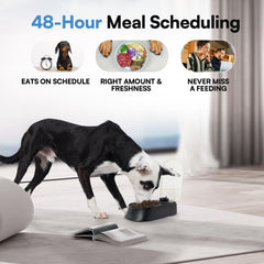 Automatic Pet Feeder for Dogs and Cats, 1.5 Cup Food Dispenser Feeder with 48-Hour Timer - Single