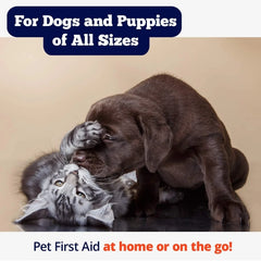 Dog First Aid Kit | 19 Piece Pet Emergency Travel Kit for Cats & Dogs