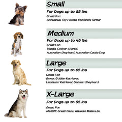 Orthopedic Memory Foam Dog Bed, Medium