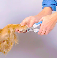 Dog Nail Clippers and Trimmer, Professional Cat Nail Clipper with Sharp Blades and Nail File (Small, Pink)