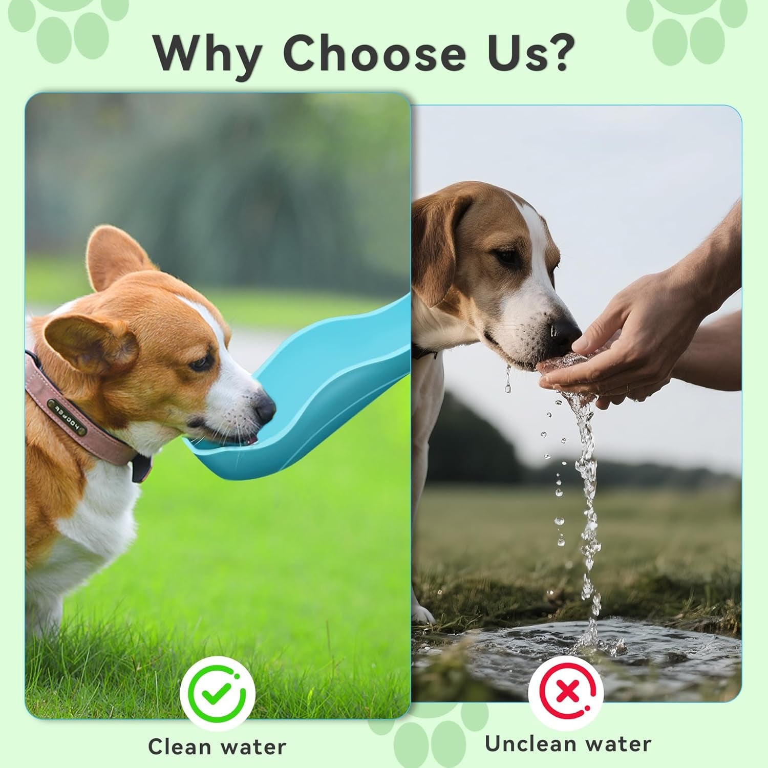 UPSKY Dog Water Bottle | Portable & Foldable Dog Water Bottle | 3-In-1 Portable